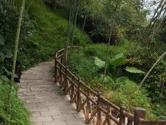 -广州市流溪河国家森林公园