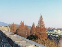 -南京城墙景区