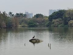 -海珠湖公园