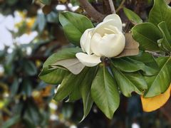 -洛阳周王城天子驾六博物馆