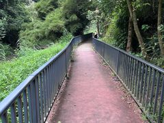 -红山村