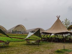 -中国天府农业博览园