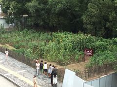 -延安杨家岭革命旧址