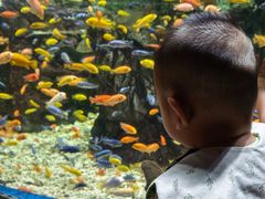 -太平洋海底世界