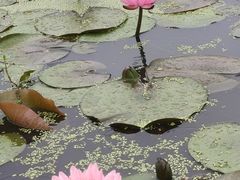 -嘉北郊野公园