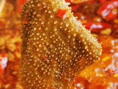 小龙坎毛肚-小龙坎火锅(全球总店)