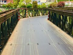 -芦潮港集贸市场