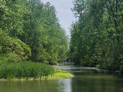 -溱湖国家湿地公园