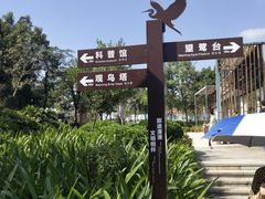-大亚湾红树林城市湿地公园