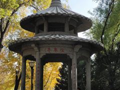 -玲珑塔公园