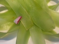 -宽来火锅(来福士广场店)