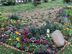 -上海共青森林公园