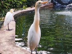 -吉隆坡雀鸟公园