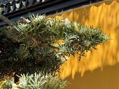 -丝绸小镇荻港古村