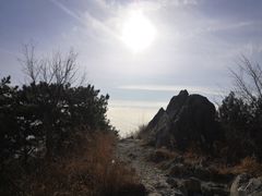 -北京鹫峰国家森林公园