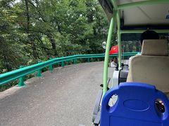 -吉林市朱雀山国家森林公园