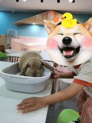 -Moni星球萌宠·小马宝莉·灵蛇·高端高阶全萌宠互动体验俱乐部(红豆国际广场店)