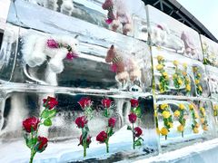 -沈阳奥体冰雪嘉年华