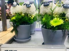 -鹿岛生活(熙地港店)