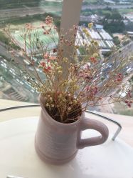 -久匠半永久纹眉