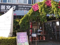 -菌窝子野生菌火锅(学府路店)