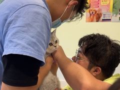 -艾吉宠物医院·疑难杂症转诊中心·猫友好(碧江路院)