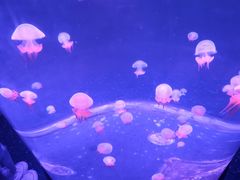 -福州罗源湾海洋世界旅游区