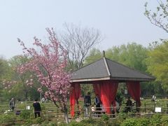 -合肥三国新城遗址公园