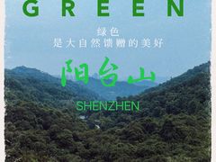 -阳台山森林公园