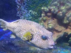 -太平洋海底世界