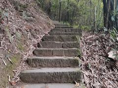-缙云山景区