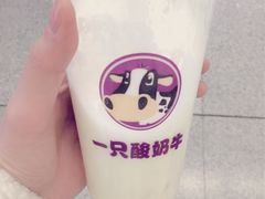 -一只酸奶牛(来福士店)