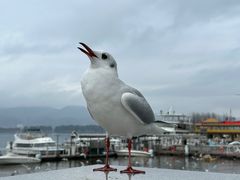 -海埂大坝