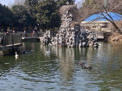 -合肥野生动物园