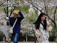 -堤角公园