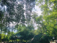 -青芝山风景名胜区