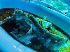 -圣雷克大酒店-爱琴海自助餐厅