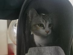 -美联众合动物医院·24h京西诊疗中心