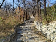 -阳台山自然风景区