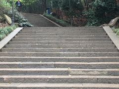 -峙山公园