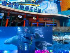 -海合安青岛极地海洋公园