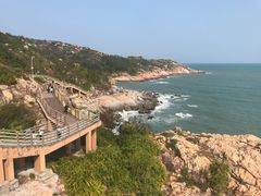-广东惠东海龟国家级自然保护区