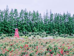 -上海长兴岛郊野公园