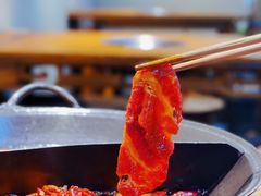 -阳阳老火锅(小南门店)