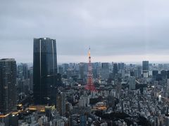 -六本木新城展望台(东京城市景观)