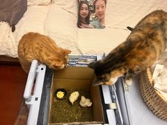 -新荟城(望京店)