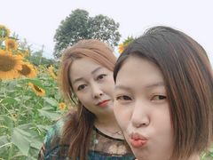 -洪湖家庭农场·团建·露营·会议