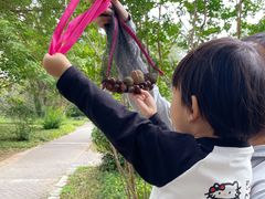 -国家植物园南园