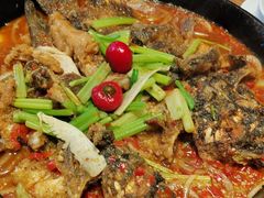 -老板恋上鱼(恒隆广场店)