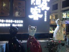-猫咪博物馆(顶澳仔猫街店)